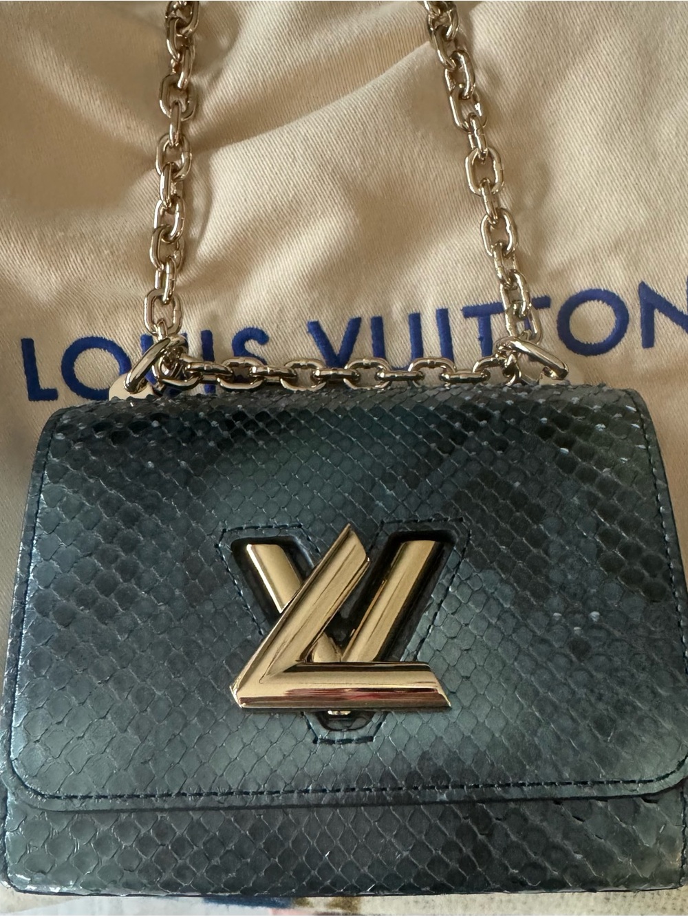 Louis Vuitton twist pm python Chain Shoulder Bag